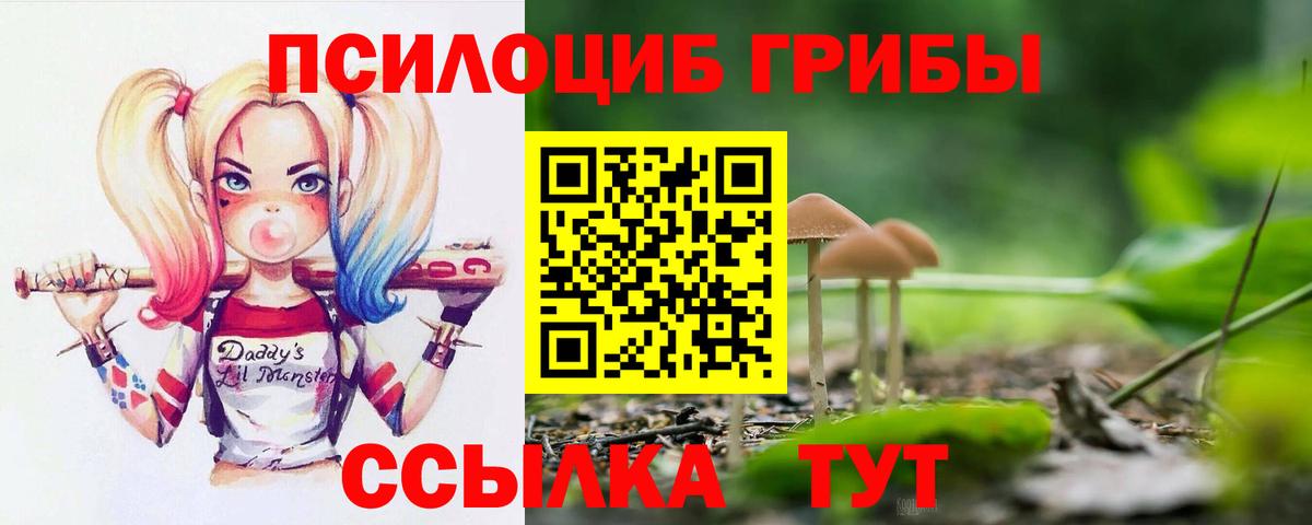 Галлюциногенные грибы прущие грибы Прохладный